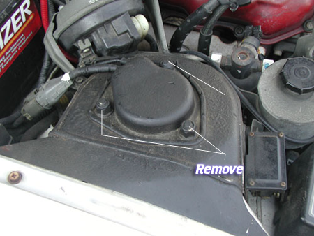 Top of the strut
